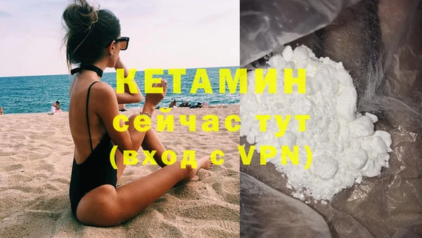 сатива Армянск