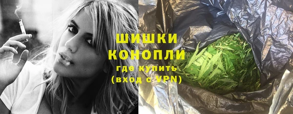 сатива Армянск