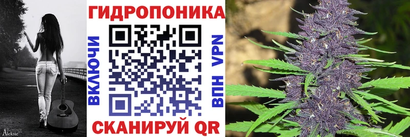 Бошки Шишки SATIVA & INDICA Беслан